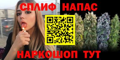 хмурый Сланцы