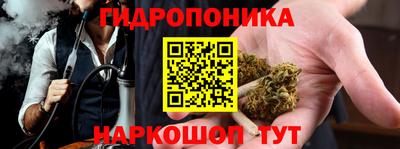 хмурый Сланцы