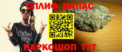 хмурый Сланцы
