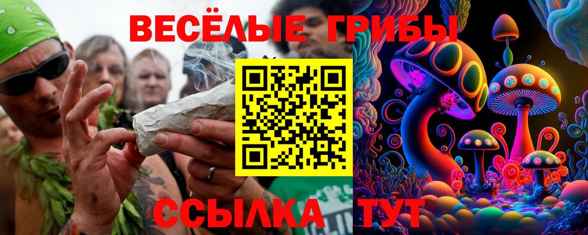 Галлюциногенные грибы Psilocybine cubensis  Вход с VPN  Ялуторовск 