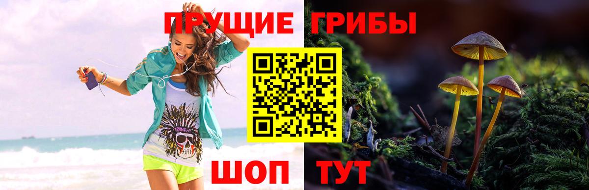 Галлюциногенные грибы Magic Shrooms Ялуторовск